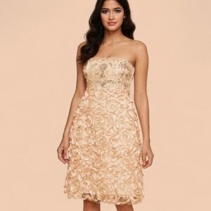 Sue Wong Sz 8 Nocturne Blush Strapless Beaded Ribbon Rosette Dress Gala Cocktail